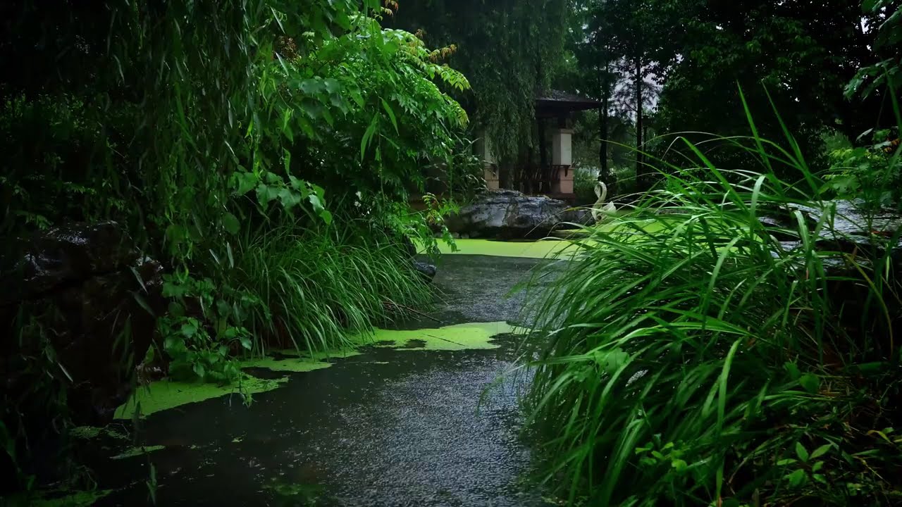 Heavy Rain in a Tropical Garden | Relaxing Nature Sounds for Sleep