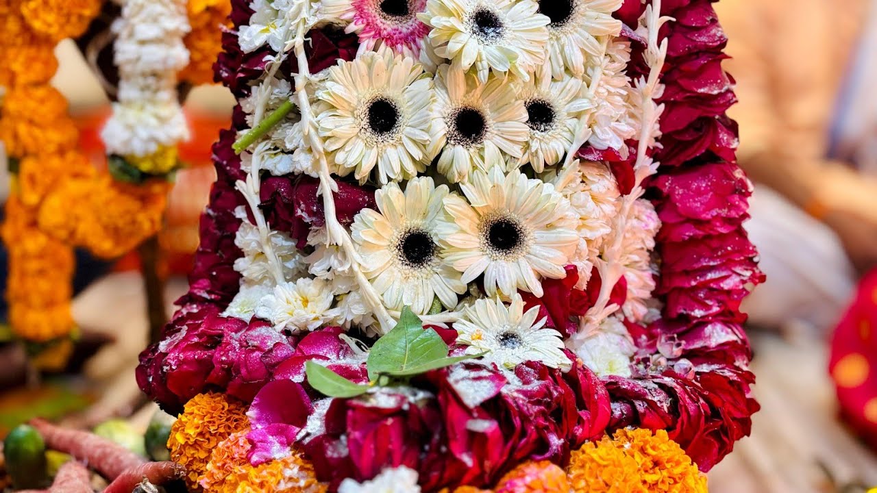महाशिवरात्रि स्पेशल | भोले बाबा की दिव्य झांकी और बारात   जबलपुर 