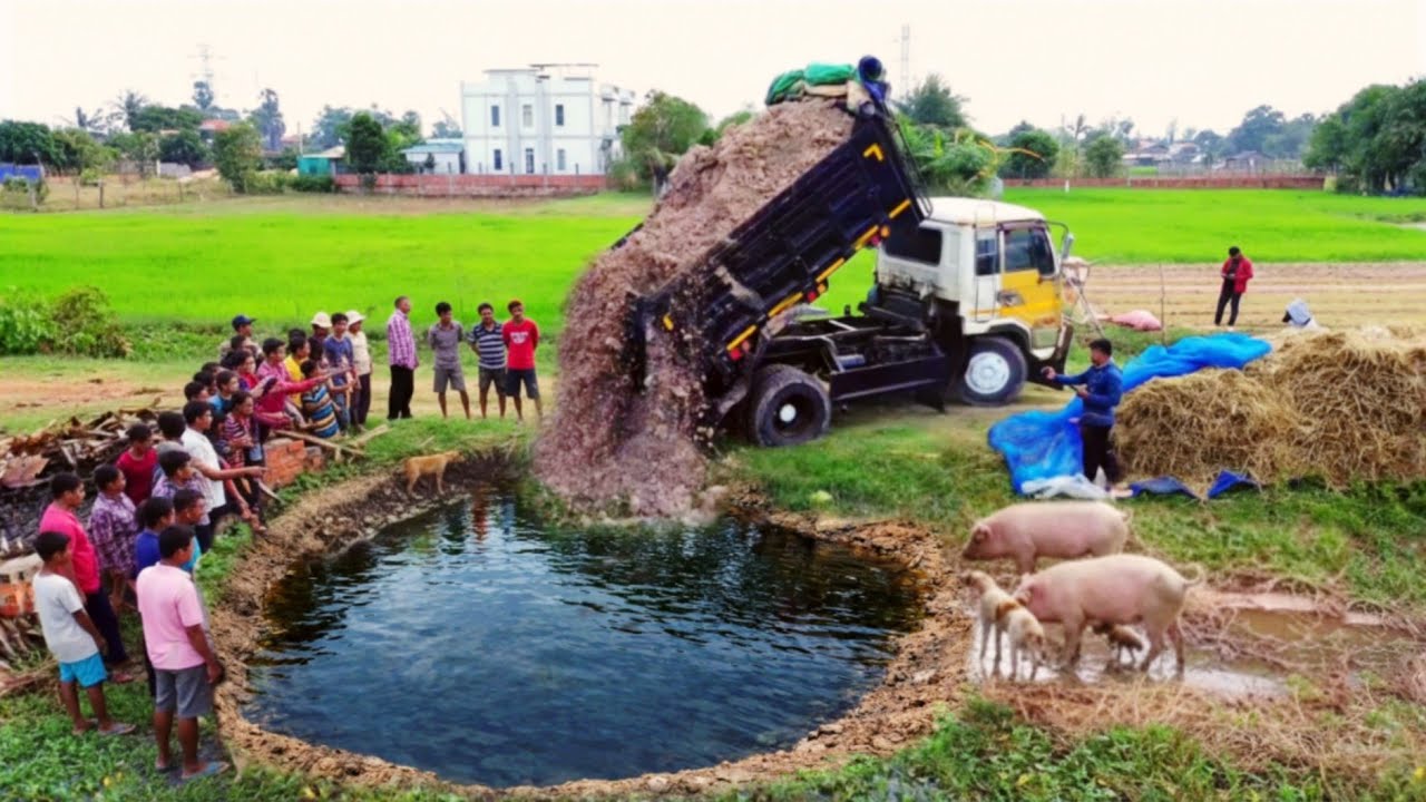 New Perfect PROJECT! Landfill Up Flooded By Bulldozer KOMATSU D20P Push & Dump Truck Unloading Soil