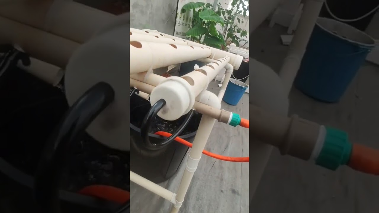 Mini bancada Hidrop&ocirc;nica 😃🙏🌱 Ensino a montagem completa aqui no canal 💪