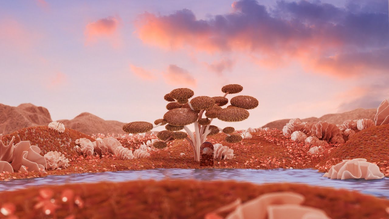 The Brink Agency - Showreel 2024
