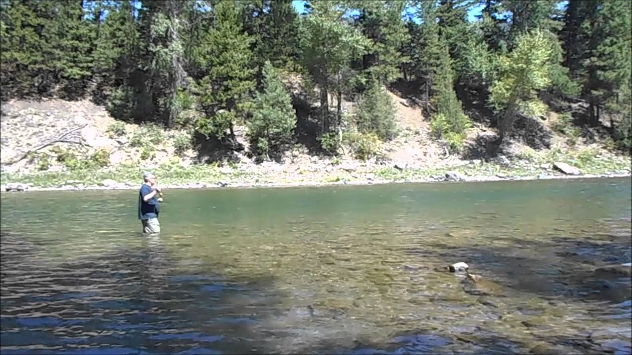 A review of the new 2015 Sage Mod Fly Rod