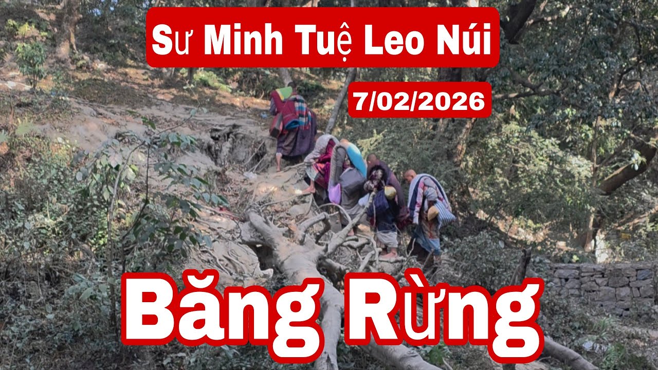 Trời ơi! Sư Minh Tuệ leo n&uacute;i băng rừng k&igrave;a, rất nguy hiểm cho thầy v&agrave; c&aacute;c sư Nhỏ 7/2/26