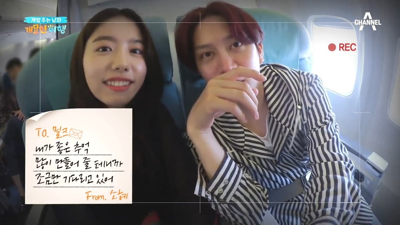 [예능] 개밥 주는 남자 개묘한 여행 8회_191005_희철X기복X소혜의 제주 펫 투어!