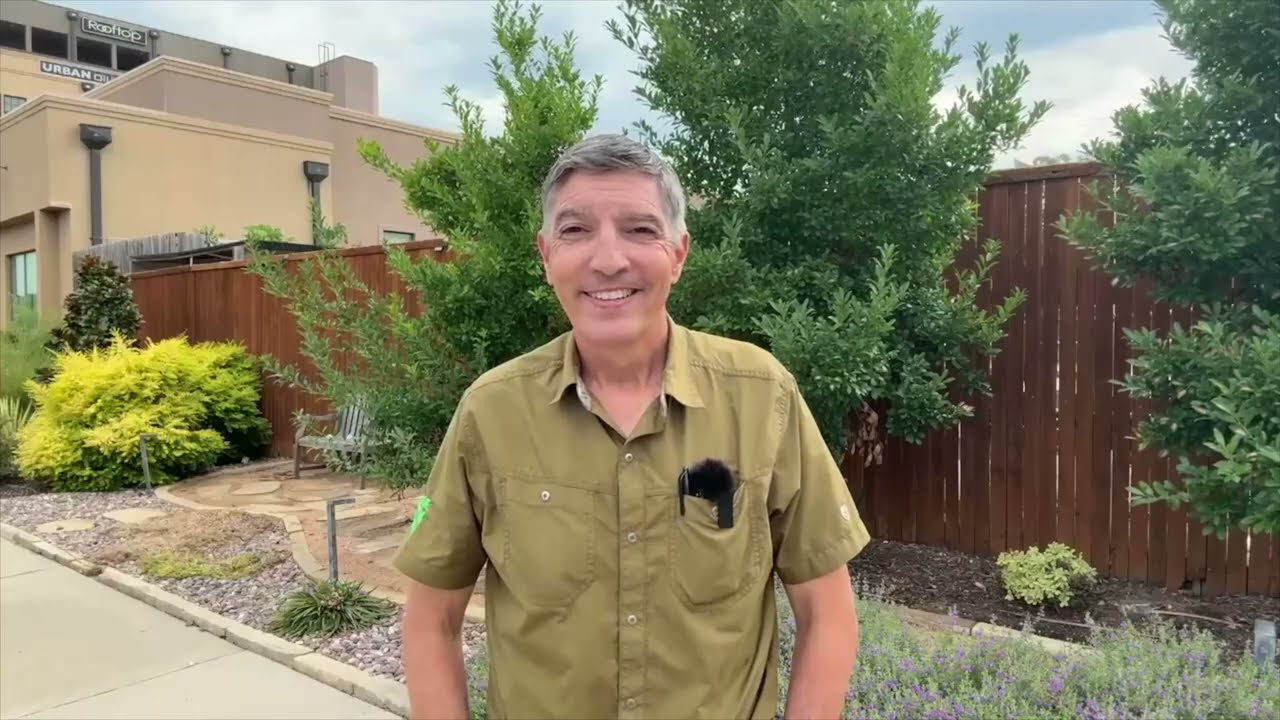 Essential Fall Fertilization Tips for St. Augustine Lawns in North Texas