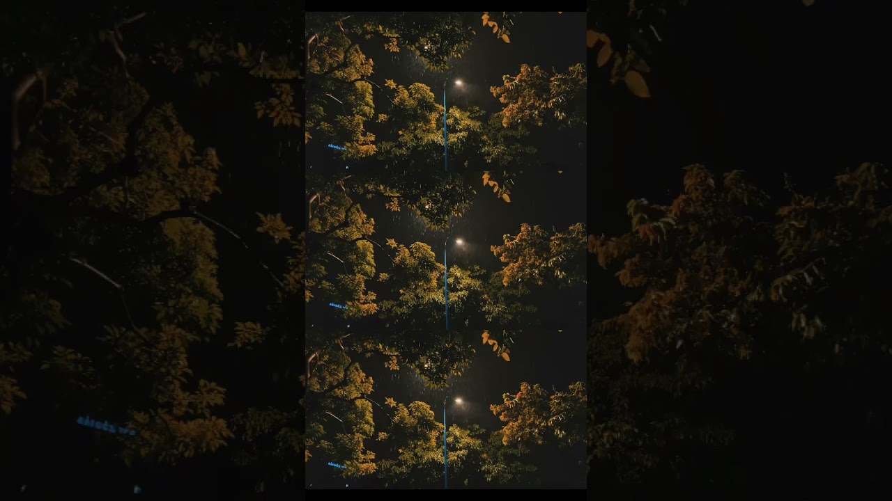 Night Rain🌧 #nightrain #calmnight #rainysounds #moodvibes #relaxmoment #darkaesthetic #peacefulnight