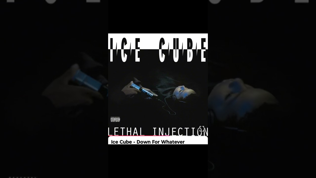 fbmx station music cutz 