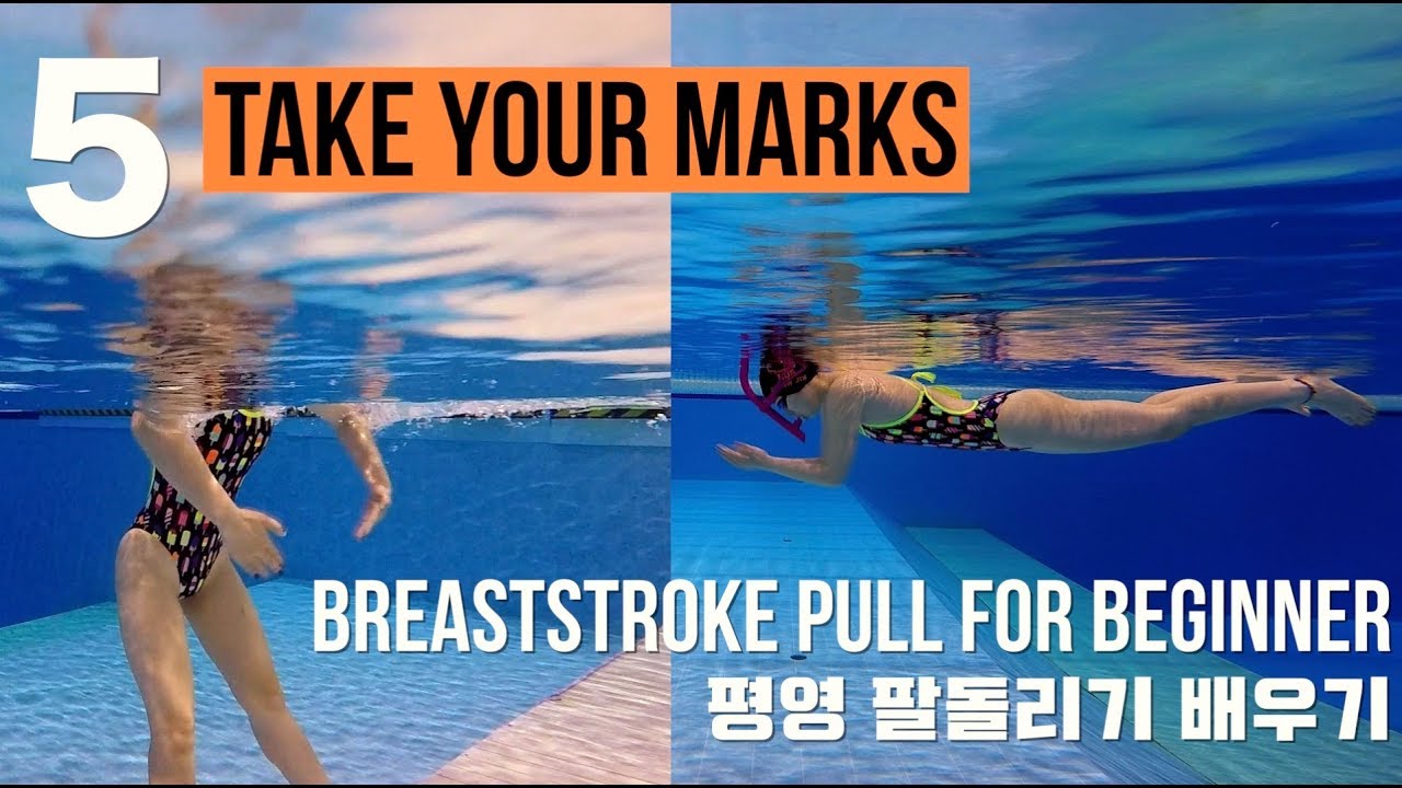 이현진 수영 TYM ) How to Breaststroke - 5 / 평영 팔돌리기 / 평영배우기 / 초급평영