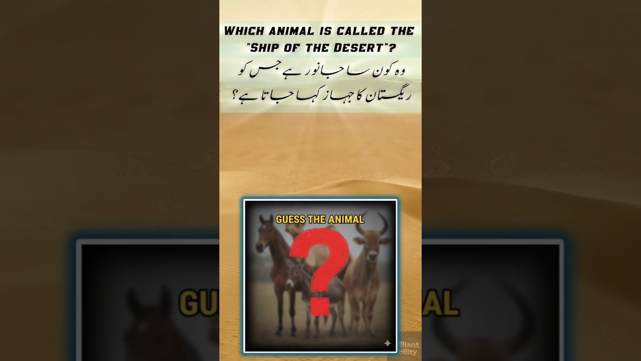 Quiz MCQs Questions Answers For Increasing Knowledge Brain Test😲 