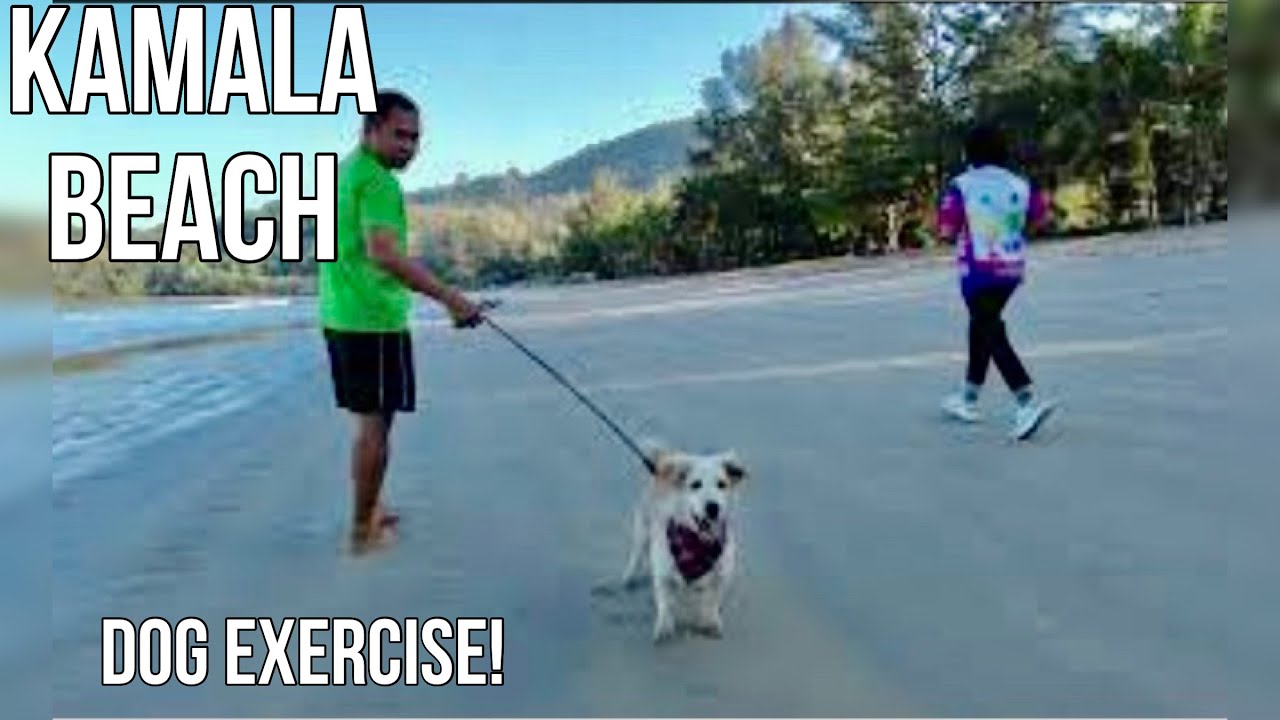 Kamala Beach Morning Walk Phuket Thailand MARCH 2022