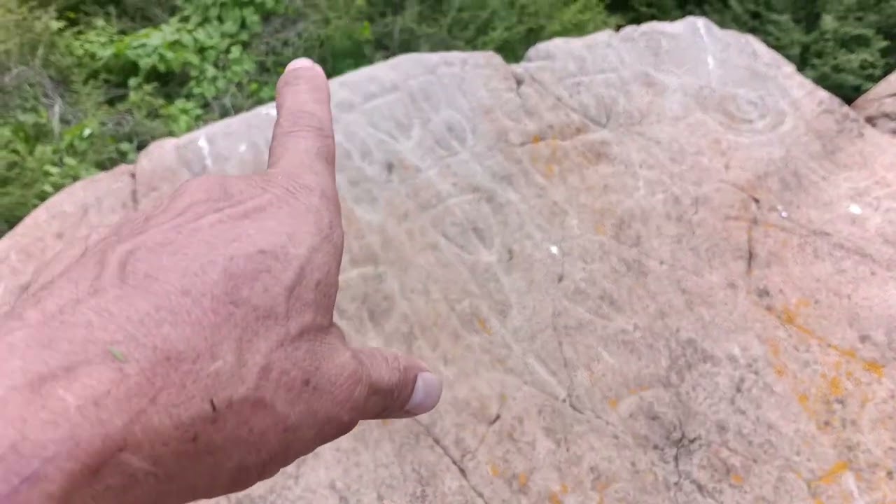 En busca de las piedras marcadas de Tuxcueca | Parte 2