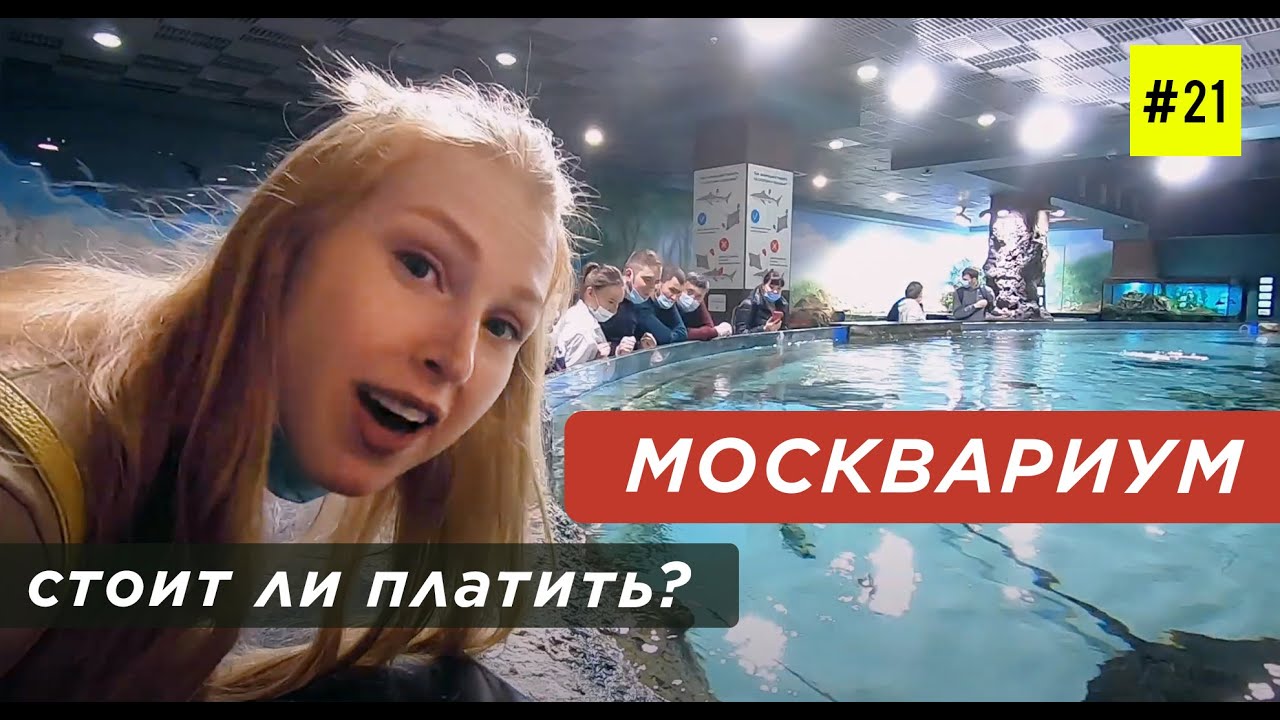 МОСКВАРИУМ НА ВДНХ (в Что посмотреть и Сколько Стоит)