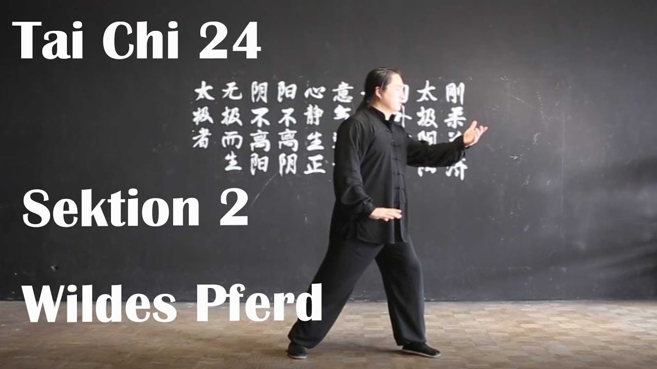 Tai Chi 24 - Tutorial: Sektion 2 - Teil 2 / 24式太极拳 / 野马分鬃 2