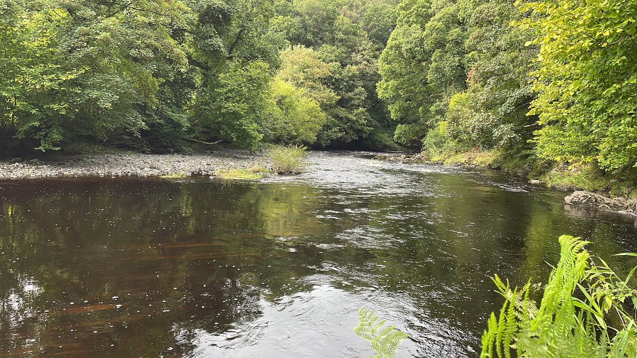Salmon Fishing on the River Roe 5th September 2022