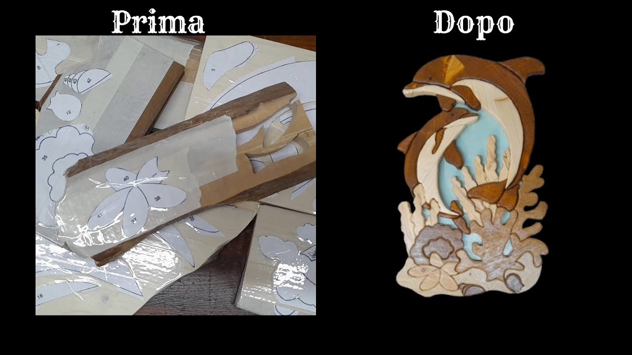 Delfini nelle barriere coralline - Dolphins in coral reefs