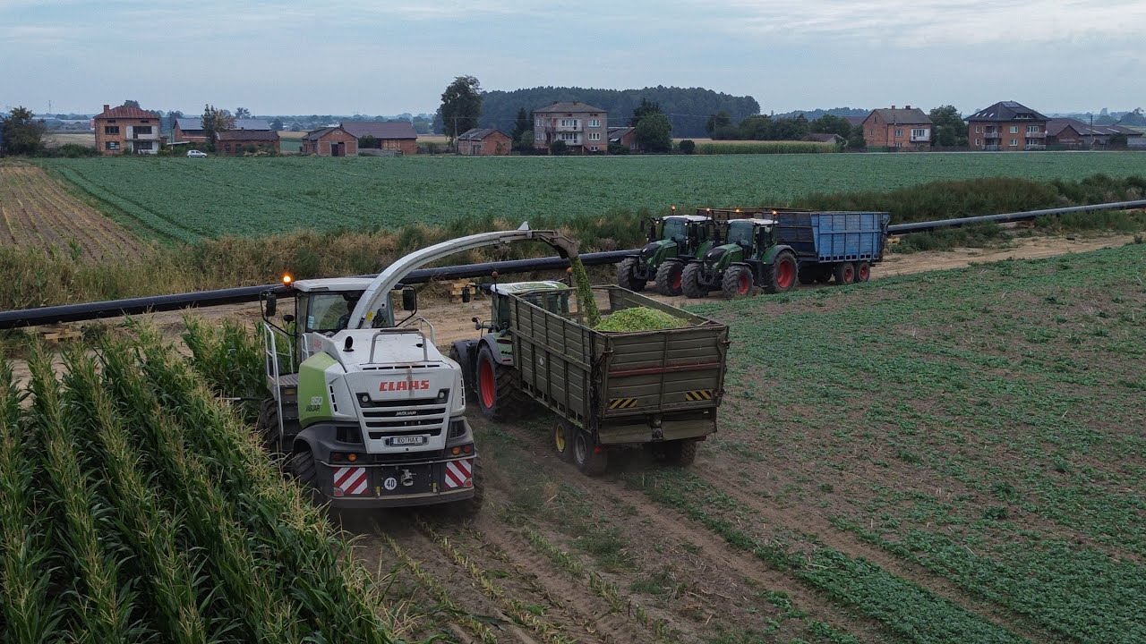 Polna zadyma z Romax'em✓Kukurydza 2025✓Romax✓Claas jaguar 850✓3x Fendt 724 vario✓3x Fortschritt t088