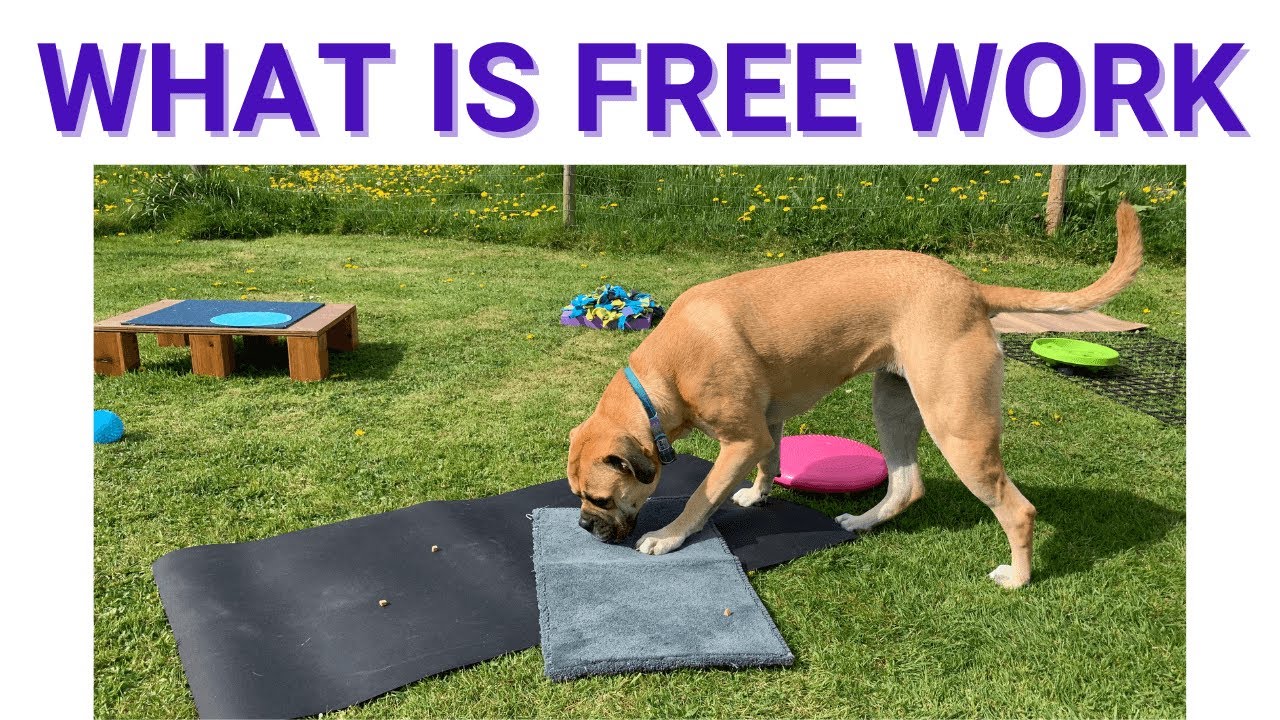 What is Free Work and Where to Start