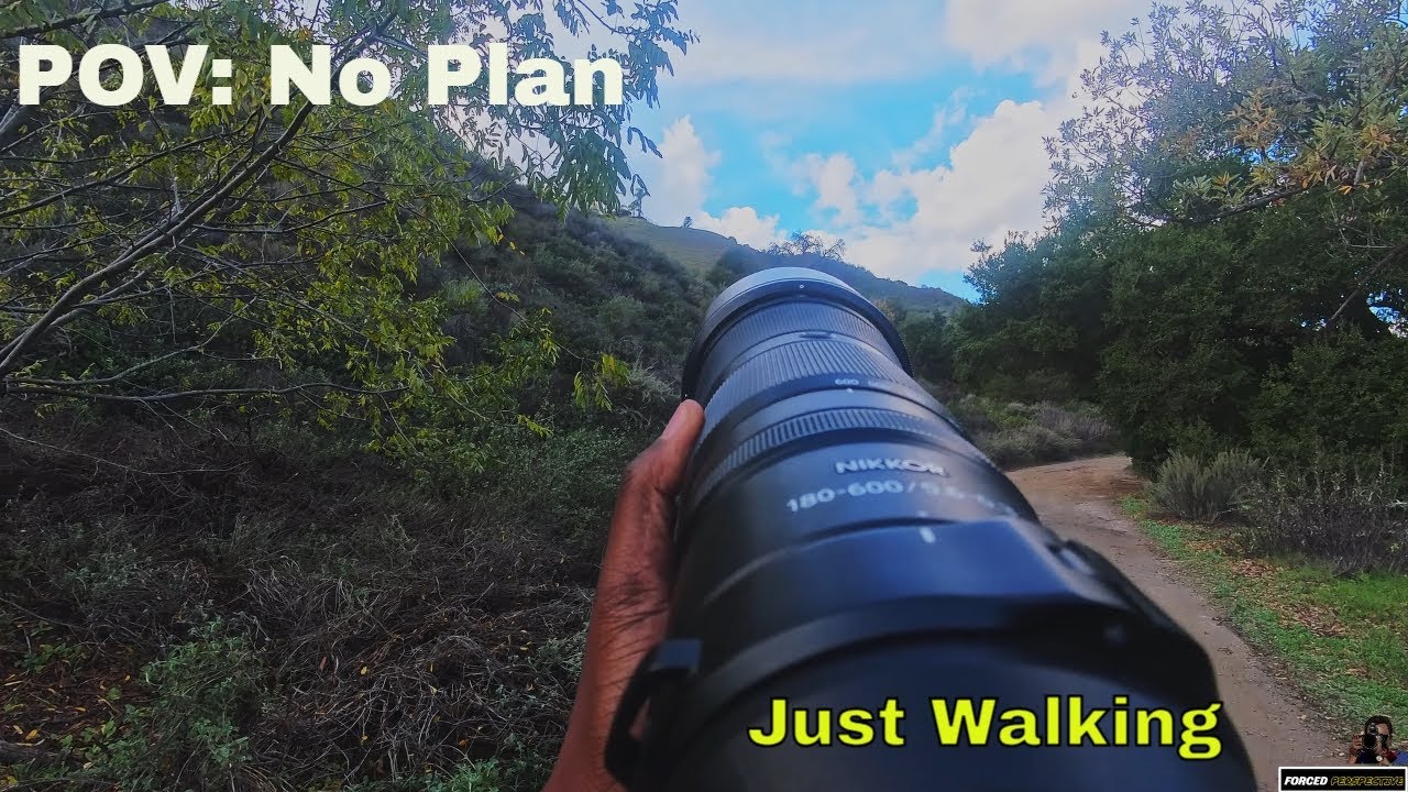 30-Minute POV Hike Through Aliso Canyon — Birds, Walking, Watching