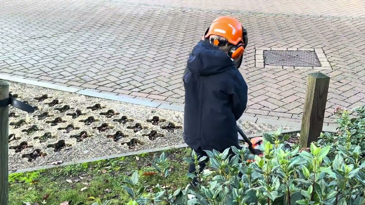 Get your kids gardening