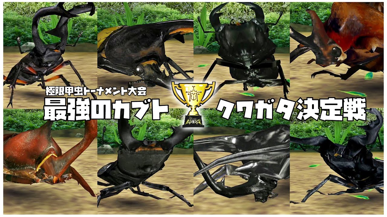 甲虫王者ムシキング - 最強のカブト・クワガタ決定戦 極限甲虫トーナメント大会｜Mushiking