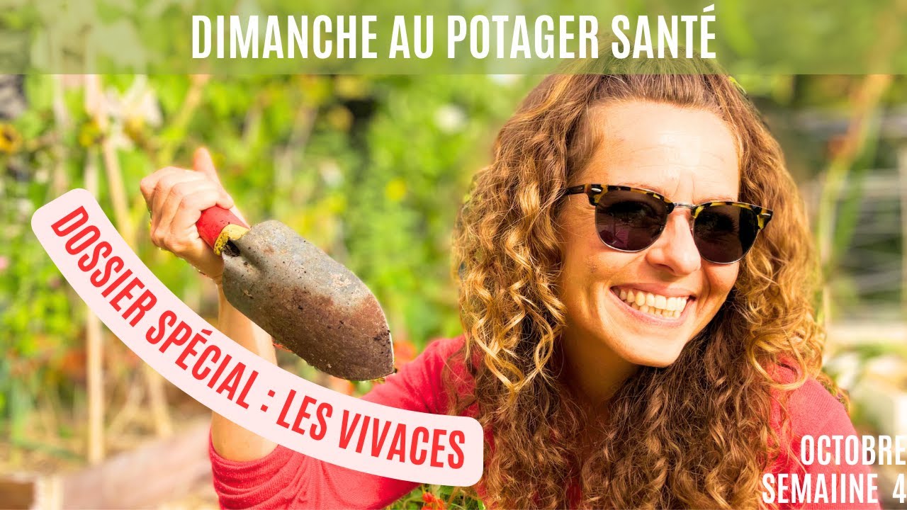 Comment avoir des plantes qui reviennent chaque année sans rien faire  #jardinage #plantes #fleurs