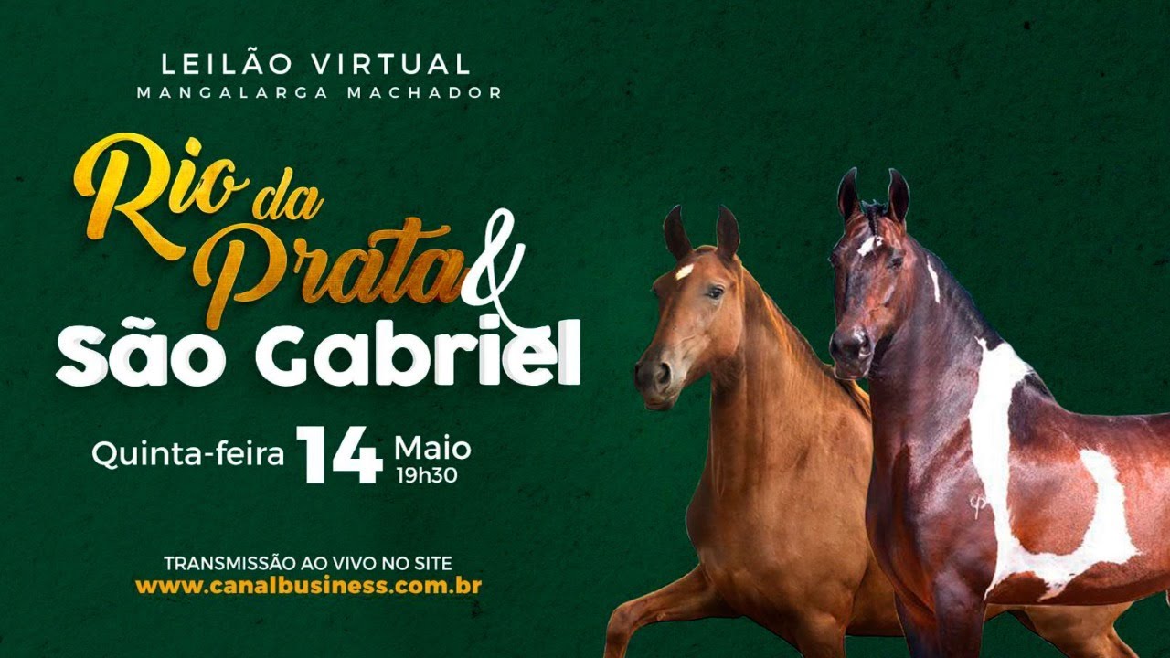 Leilão Virtual Mangalarga Marchador Haras Rio da Prata e Haras São Gabriel