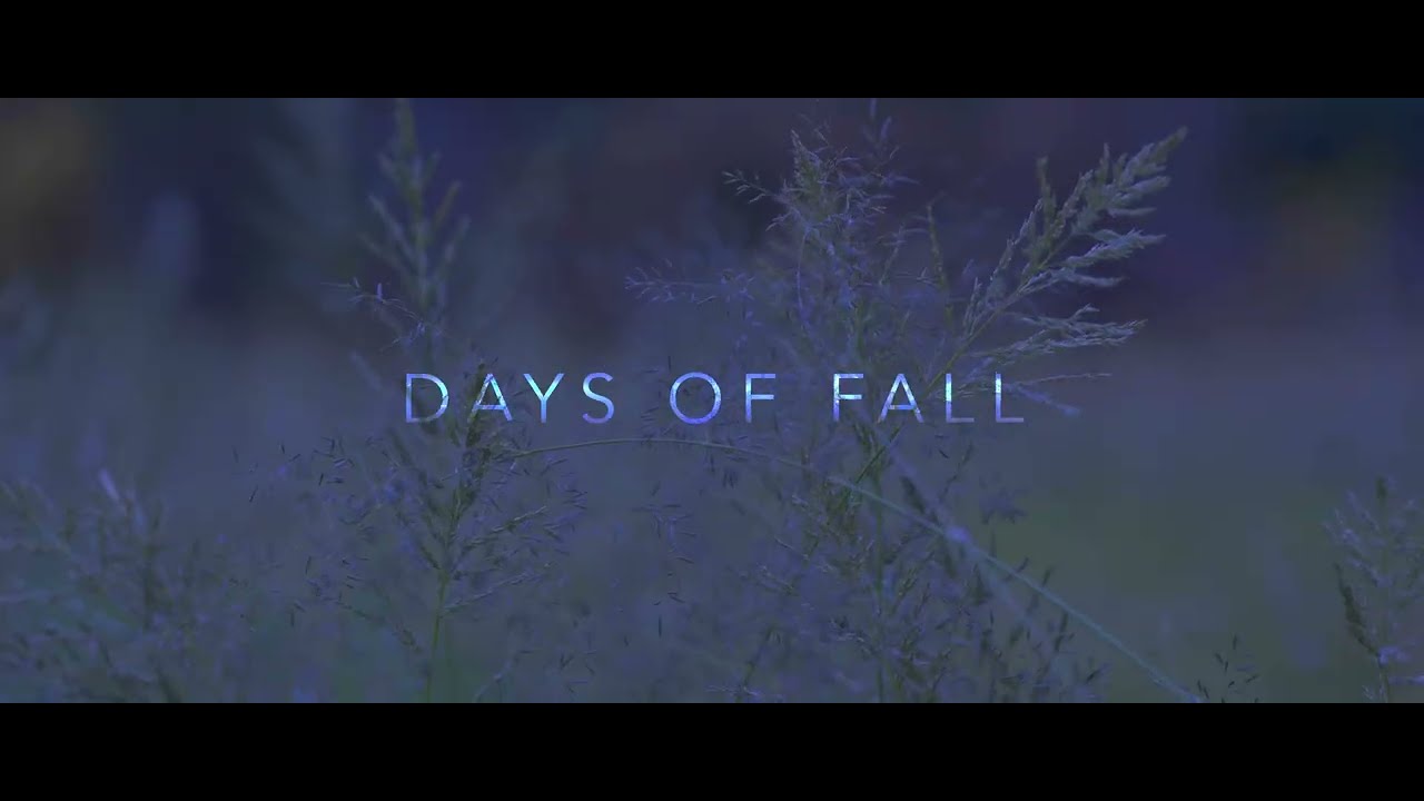 Days of Fall: Typoch Simera-C 75mm | Visual