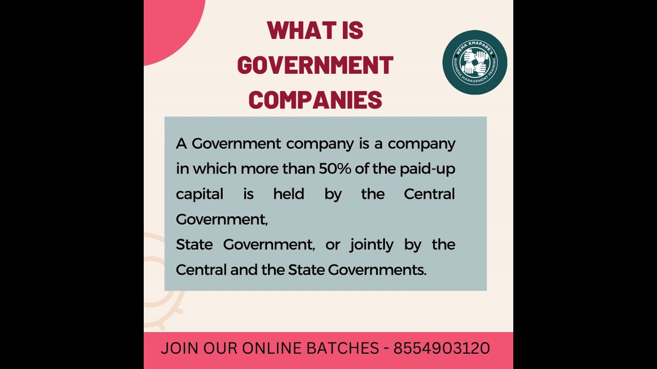 WHAT IS GOVERNMENT COMPANIES