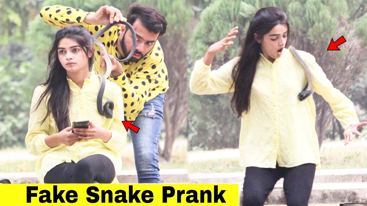 Fake Snake Prank | @HitPranks