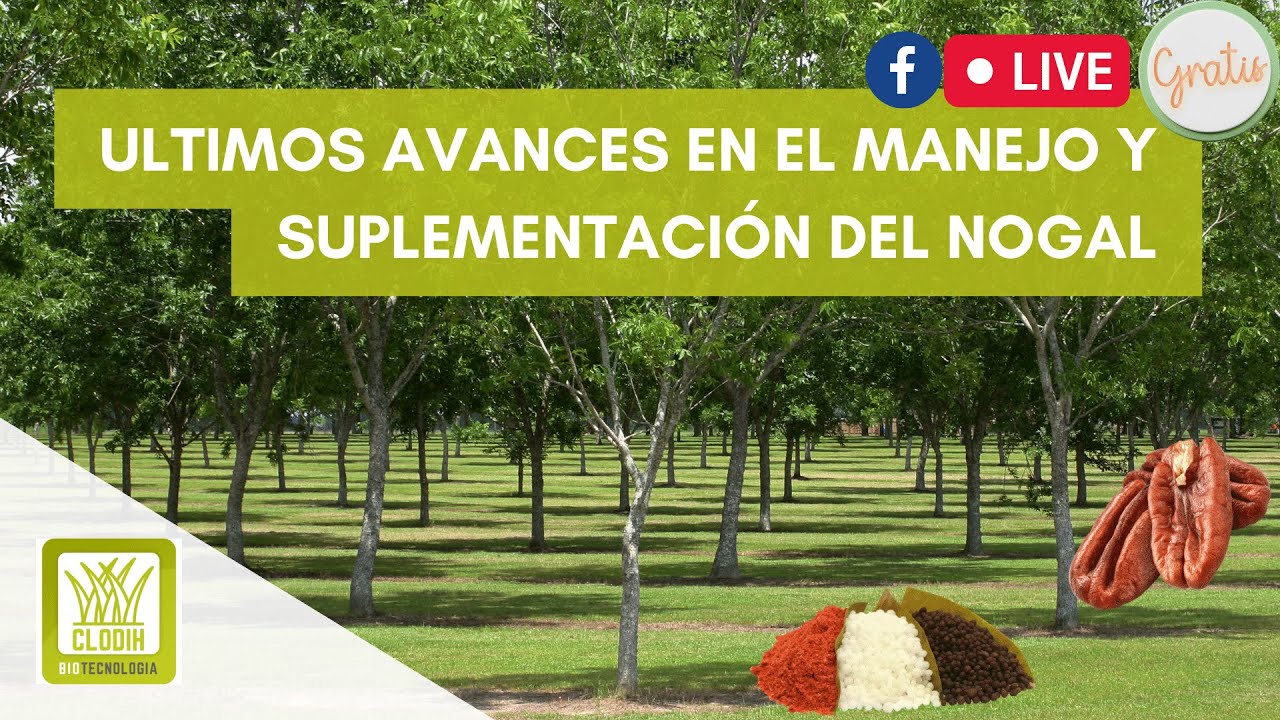 Nuevos avances en la suplementación, fertilización y manejo del nogal pecanero.