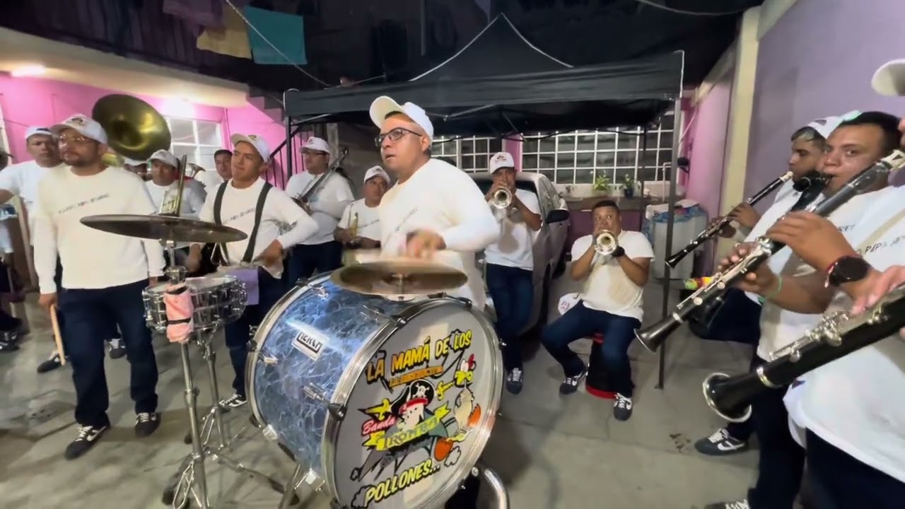 La Destructiva Banda Tromba Sinaloense|Puras Carnavaleras|Que Buenas Están|La Negra Teté|La Abejita