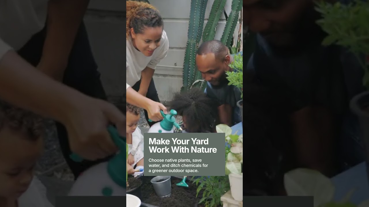Transform Your Yard with Eco-Friendly Landscaping