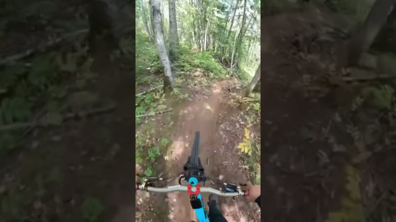 Ultimate Frisby DH | Revelstoke BC #mtb #mtbvlog #mountainbike #downhill #mtblife #gopro