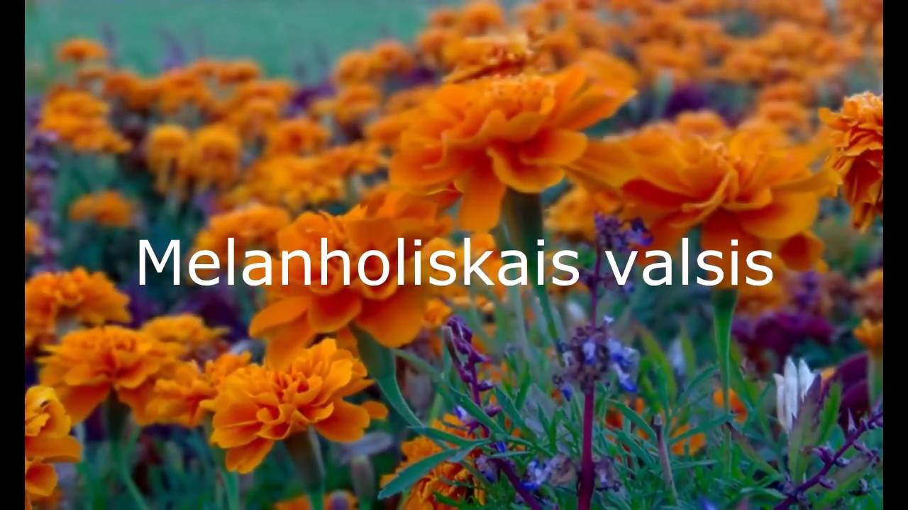 Ziedi valsta mūzikai.