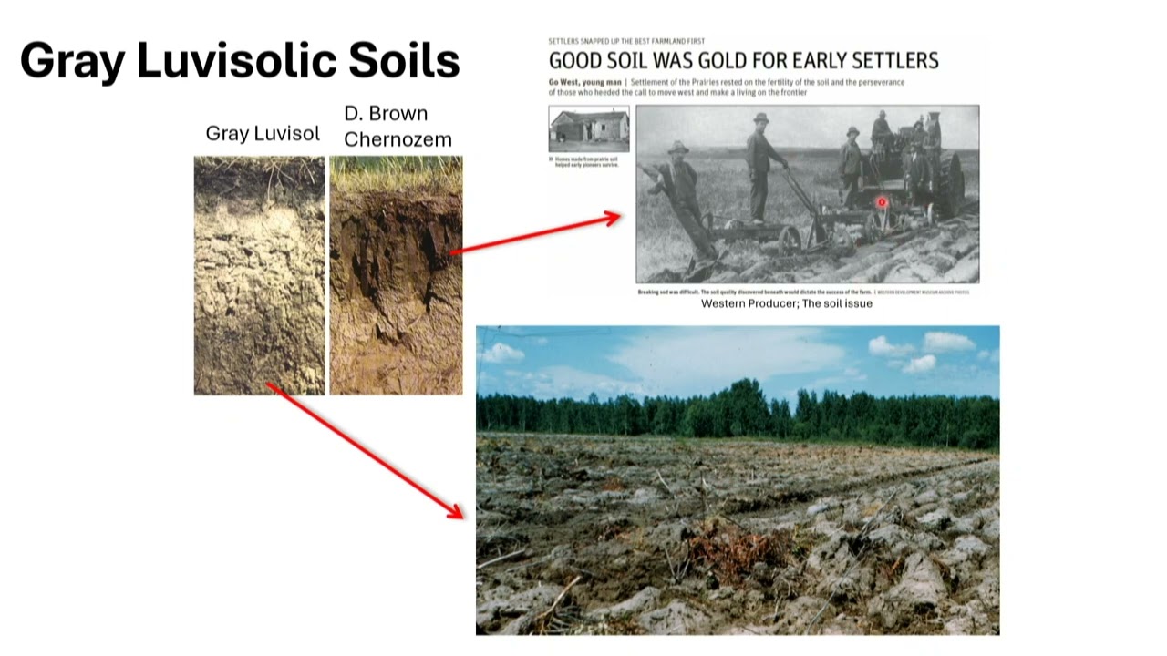 Effects of Liming on Soil Health and Soil N-balance - Dr. Miles Dyck