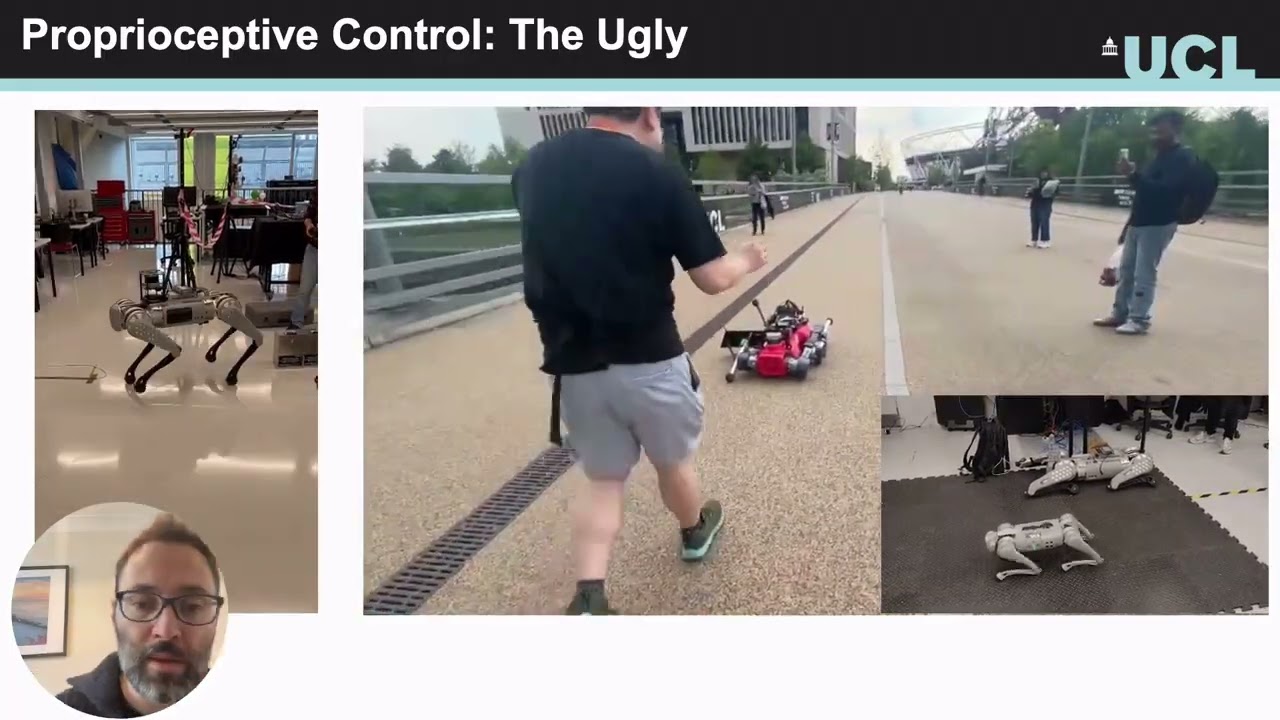 The Good, the Bad, and the Ugly: Robustness of Robots that have Limbs