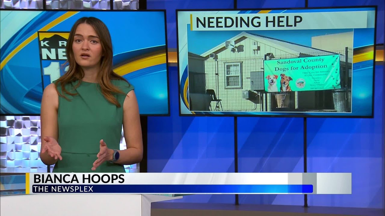 New Animal Resource Center Approved to Relieve Overcrowded Sandoval County Shelte