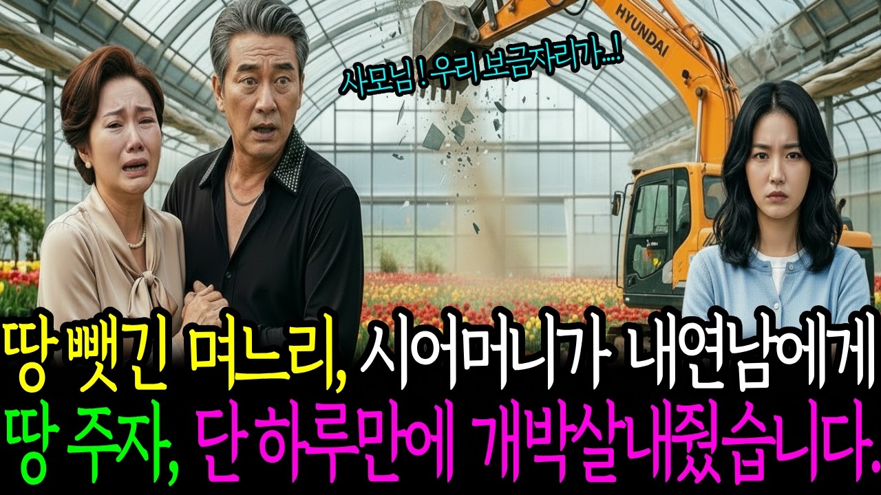 춤바람난 시어머니가 내연남에게 땅을 넘긴다고 하자,며느리는 화가나는데...