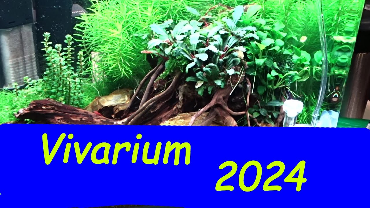 Vivarium 2024 alles für Aquauristik