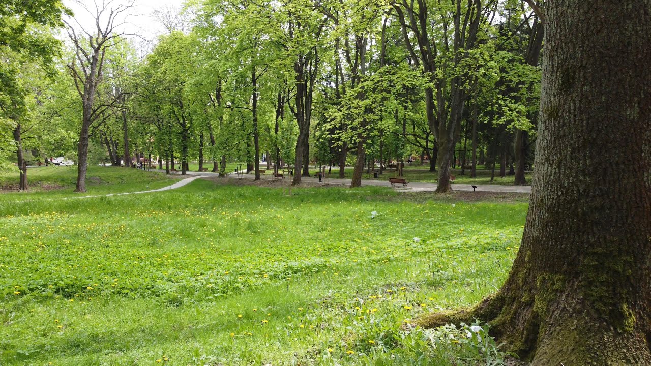 Park Bednarskiego w Krakowie (Music Video)