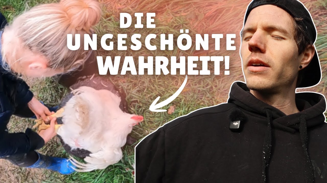 Kreislaufkollaps beim H&auml;hne schlachten! (daf&uuml;r ist der Vorrat voll)