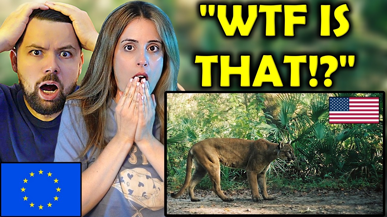 European GIRL Reacts to Animals Only Found in America!