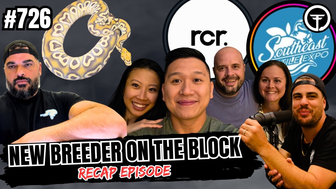 Things You Must Know Before Moving A Reptile Collection To A New Country | NBB Recap Episodes