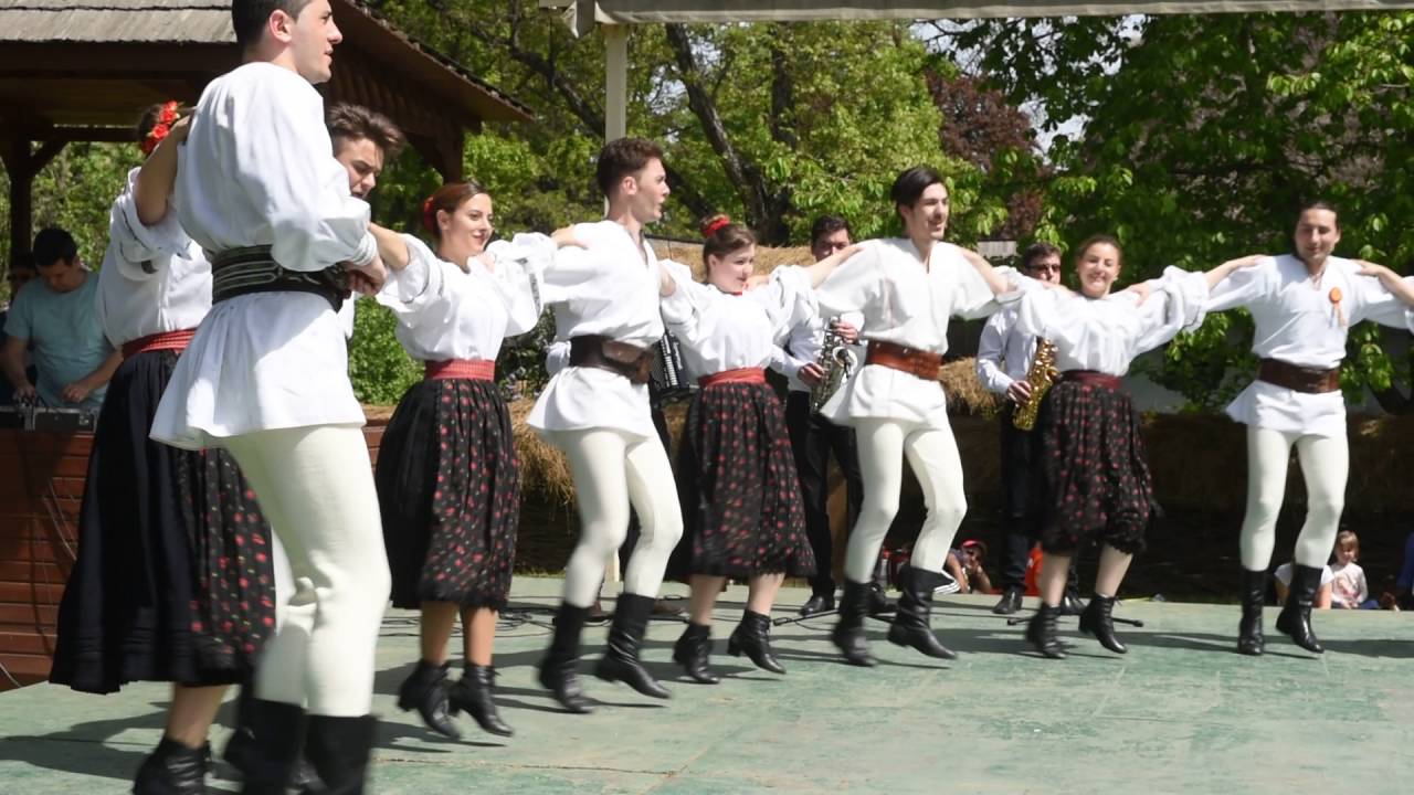 Ans. Doinita - Timis; Ans. Junii Brasovului - Mocanesc