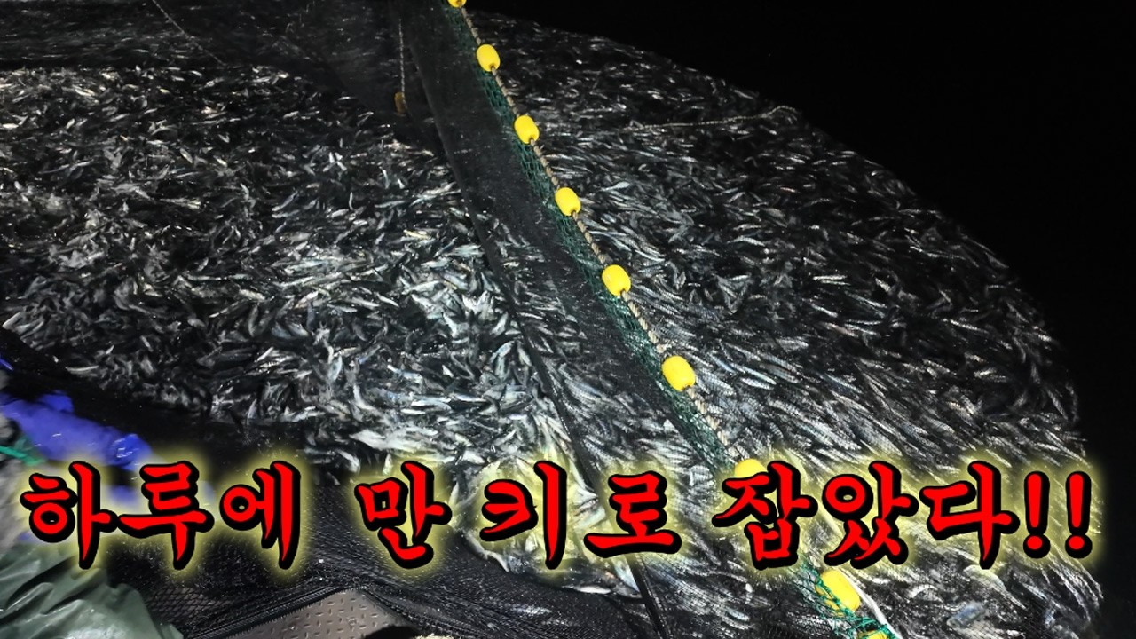 대박 터졌다 !초대형 그물을 끌어 올려보자 !!