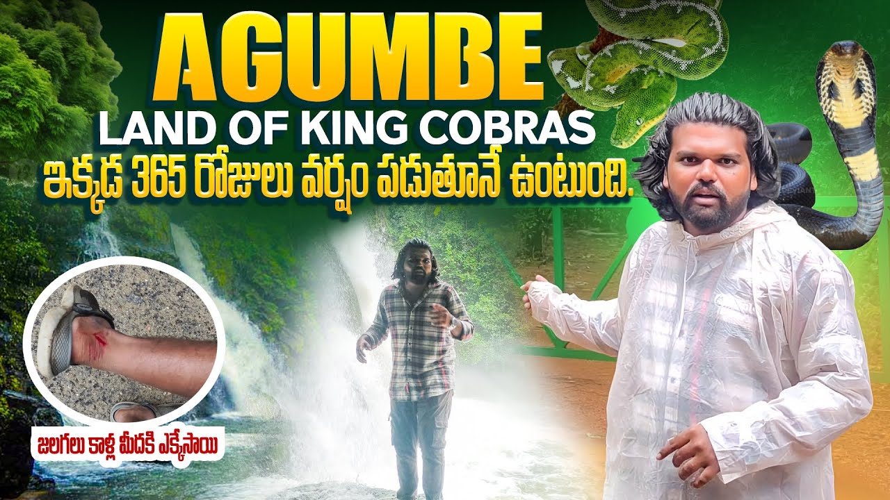 Agumbe Rain forest | Land of King cobras | Dangerous Ghat Road | Cherrapunji of south India