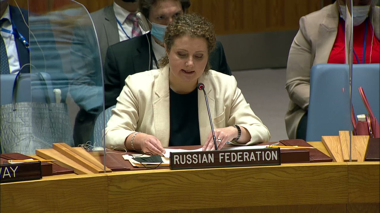 Statement by DPR Anna Evstigneeva at Security Council briefing on the situation in Iraq
