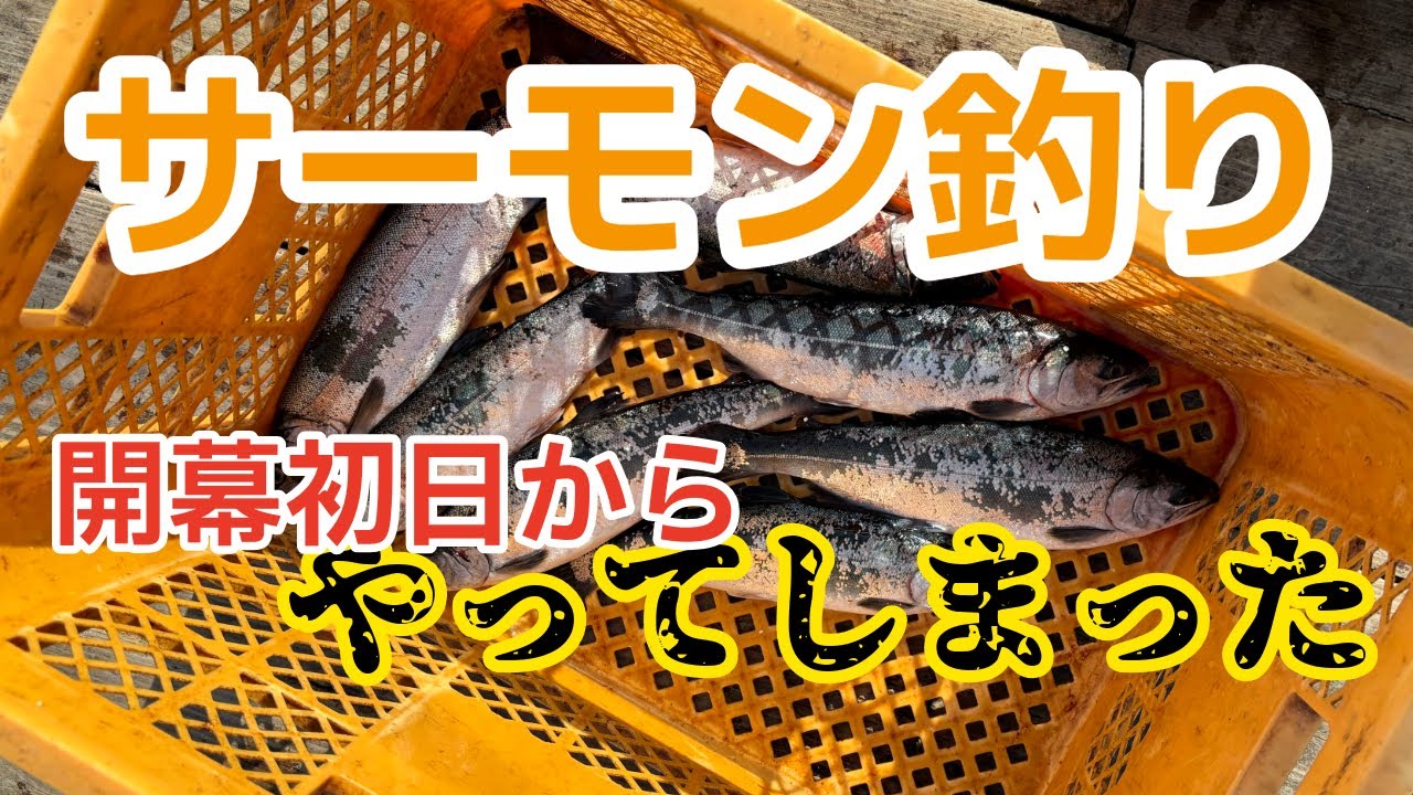 【サーモン釣り】海上釣堀でサーモンコーナー開幕｜今年はどうなのか⁉️