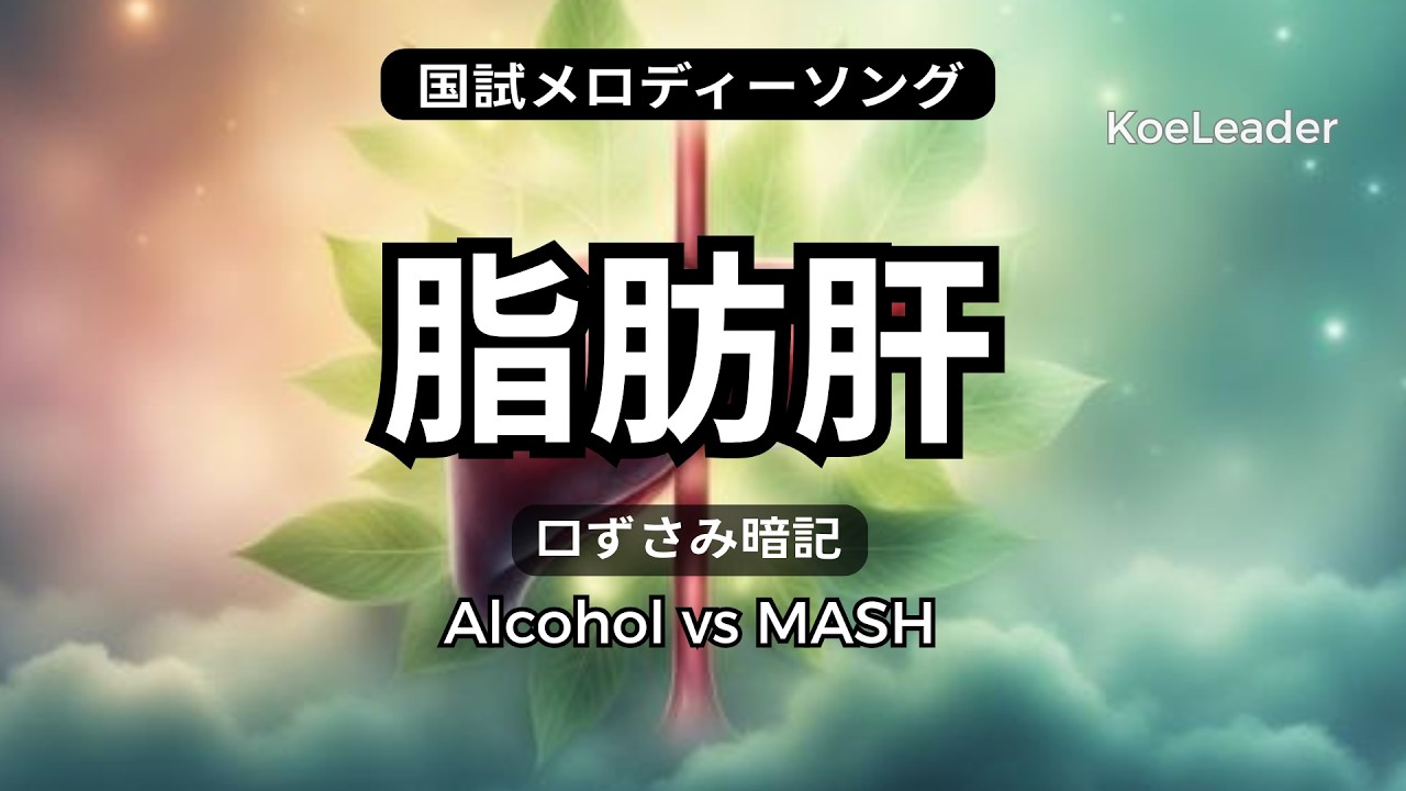 【脂肪肝】Alcohol vs MASH（旧NASH）を一発整理｜歌詞付きリリックビデオ（KoeLeader）