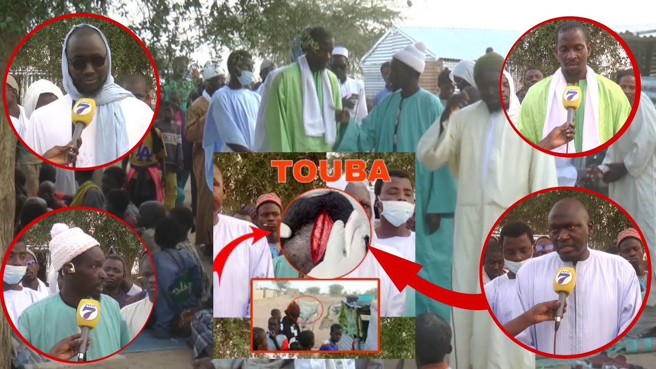 🚨Urgent : Serigne Daara Agressé Par un Berger à Touba 